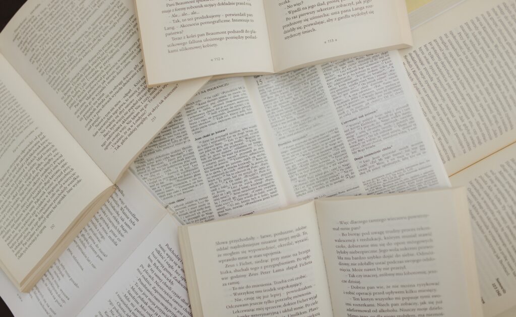 History and International Studies