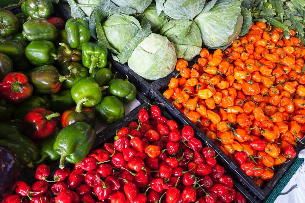 Food Science and Technology